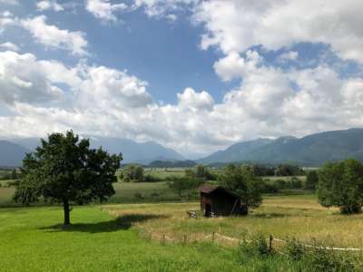 El paisaje de Murnau y el musgo