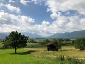 El paisaje de Murnau y el musgo
