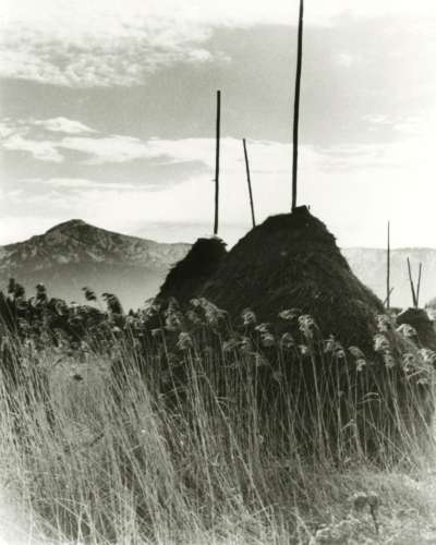 Fotocopiadora Erika Groth-Schmachtenberger (1906-1992), hacia 1928 