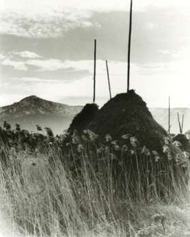 Fotocopiadora Erika Groth-Schmachtenberger (1906-1992), hacia 1928 